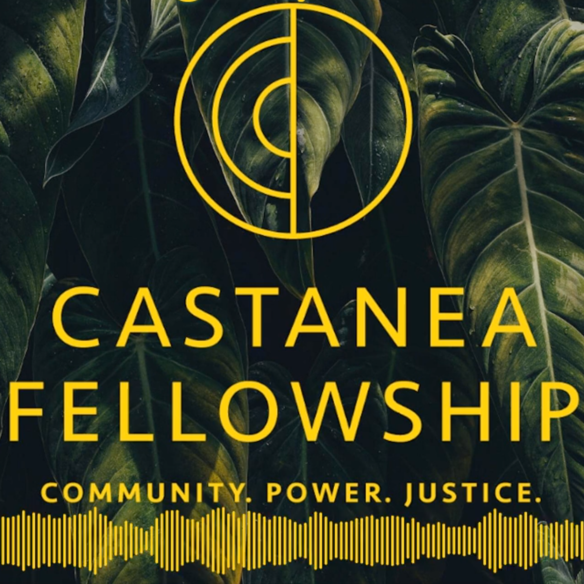 Castanea logo in yellow. Castanea Fellowship Community. Power. Justice. in yellow text. Yellow audio wave lines at the bottom. All text in front of a green leafy background