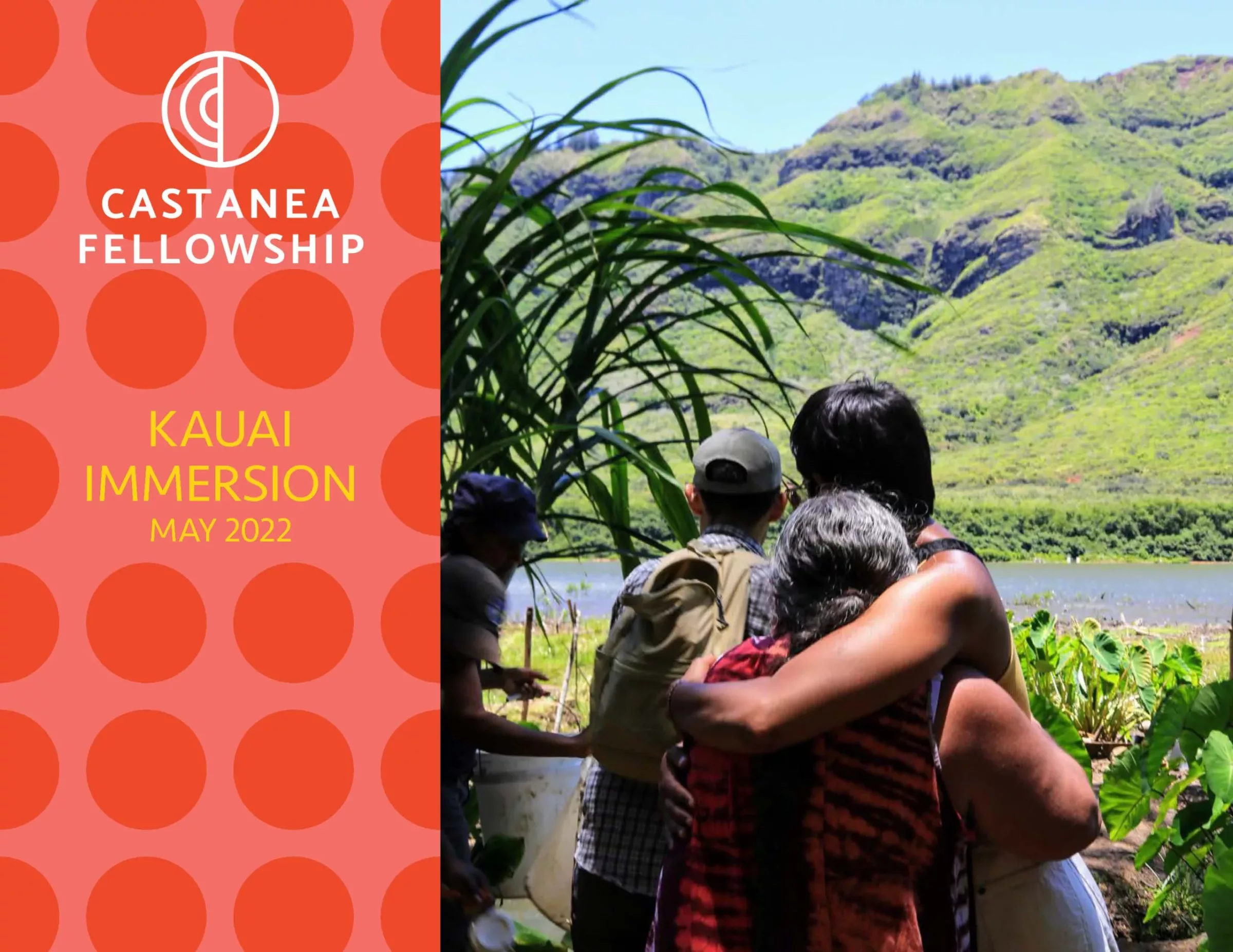 Featured image for “Kauai Immersion Report”