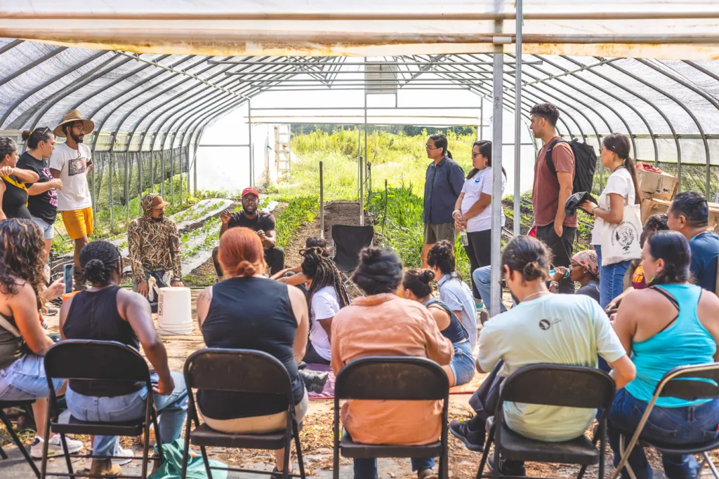 Group of people sitting outside in a circle. Three people standing on the right